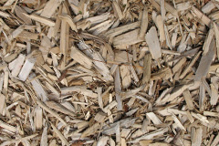 biomass boilers Wrockwardine